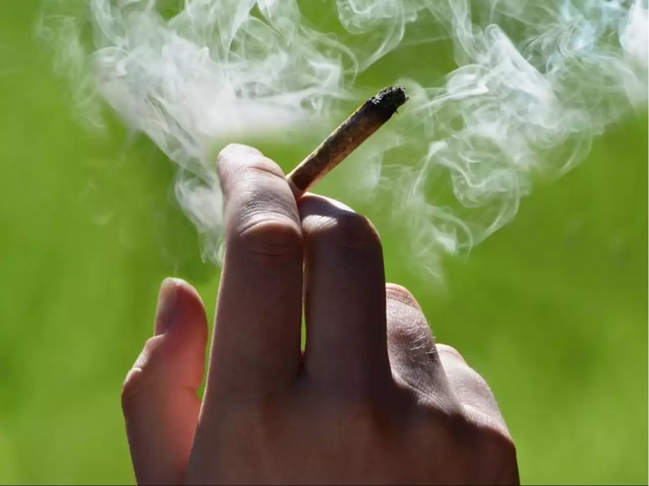 Nearly 43 per cent of young adults used marijuana in 2021