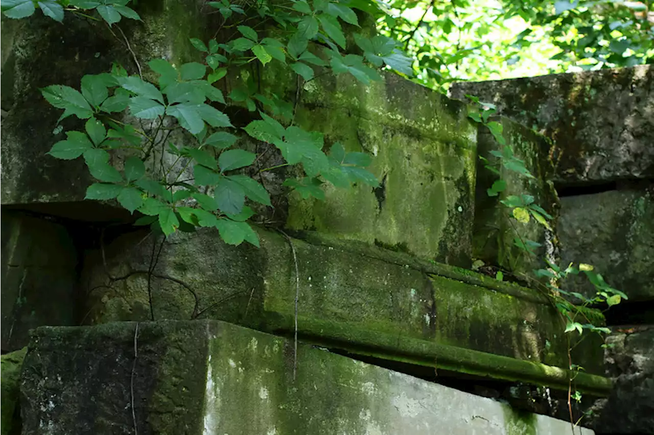 'Norton Meets with National Park Service and Architect of the Capitol About Capitol Stones in Rock Creek Park'