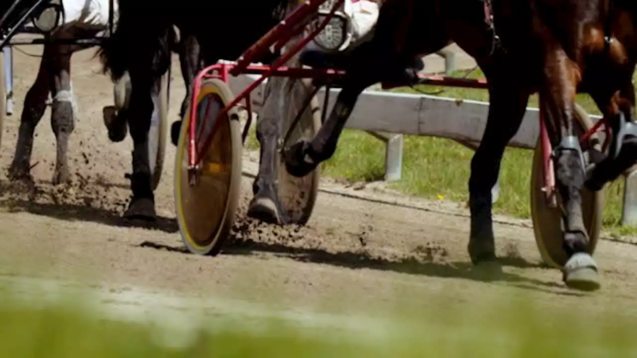 Bugsy Maguire wins Summerside feature the hard way | SaltWire