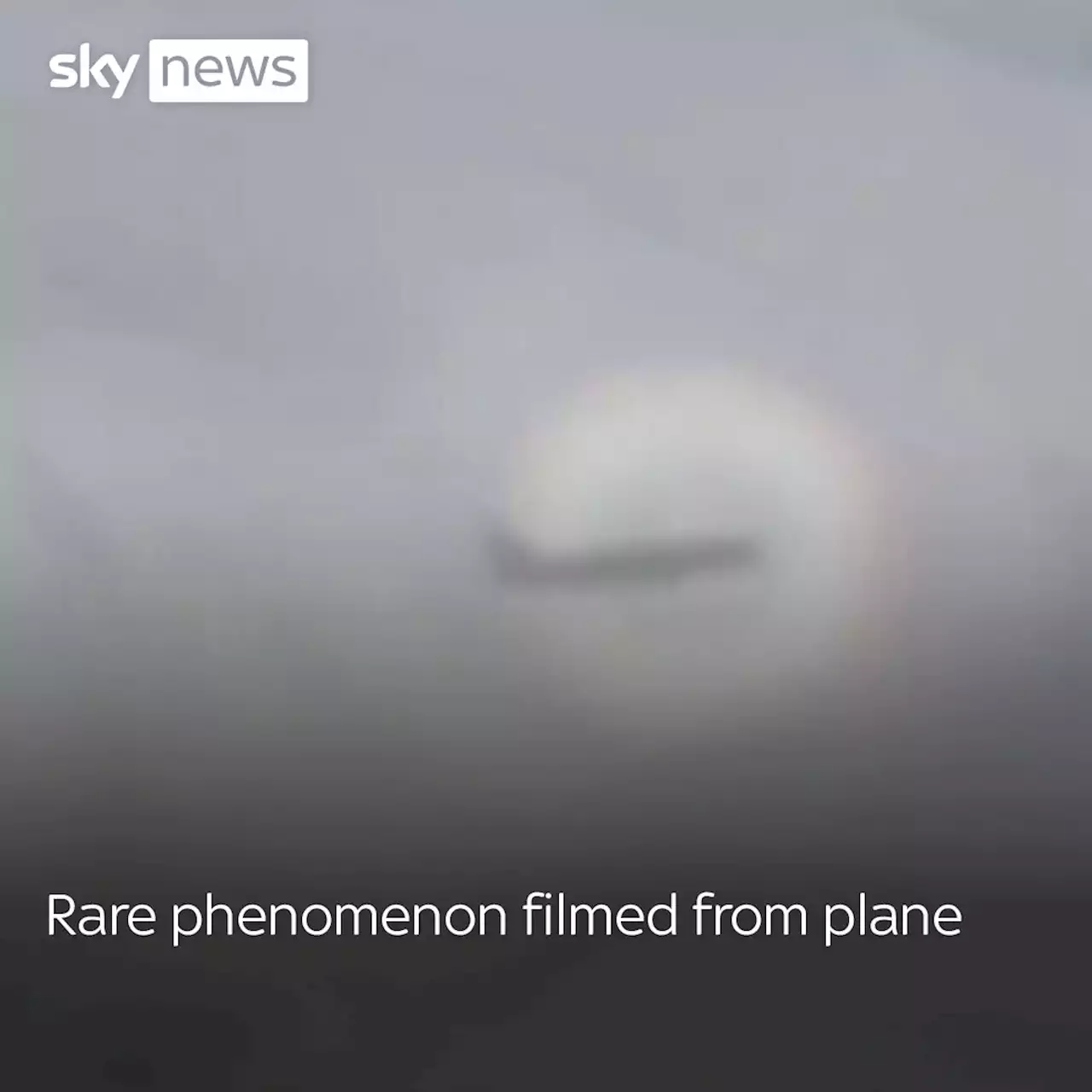 Stunning footage shows 'pilot's glory' surrounding shadow of moving aircraft