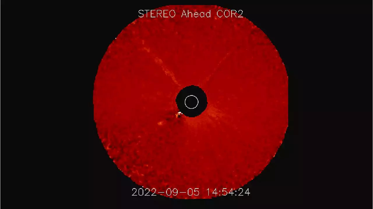 2nd huge eruption from the sun hammers Venus