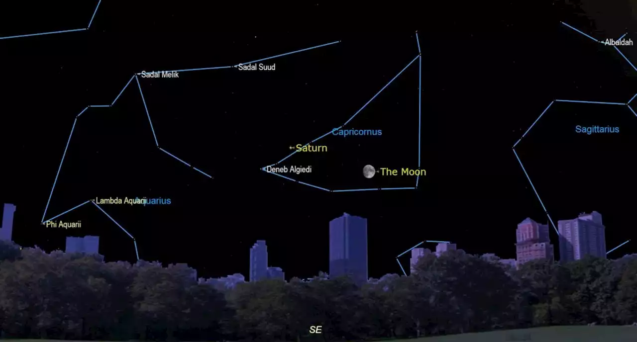 Saturn and a bright moon share the sky Wednesday (Sept. 7)