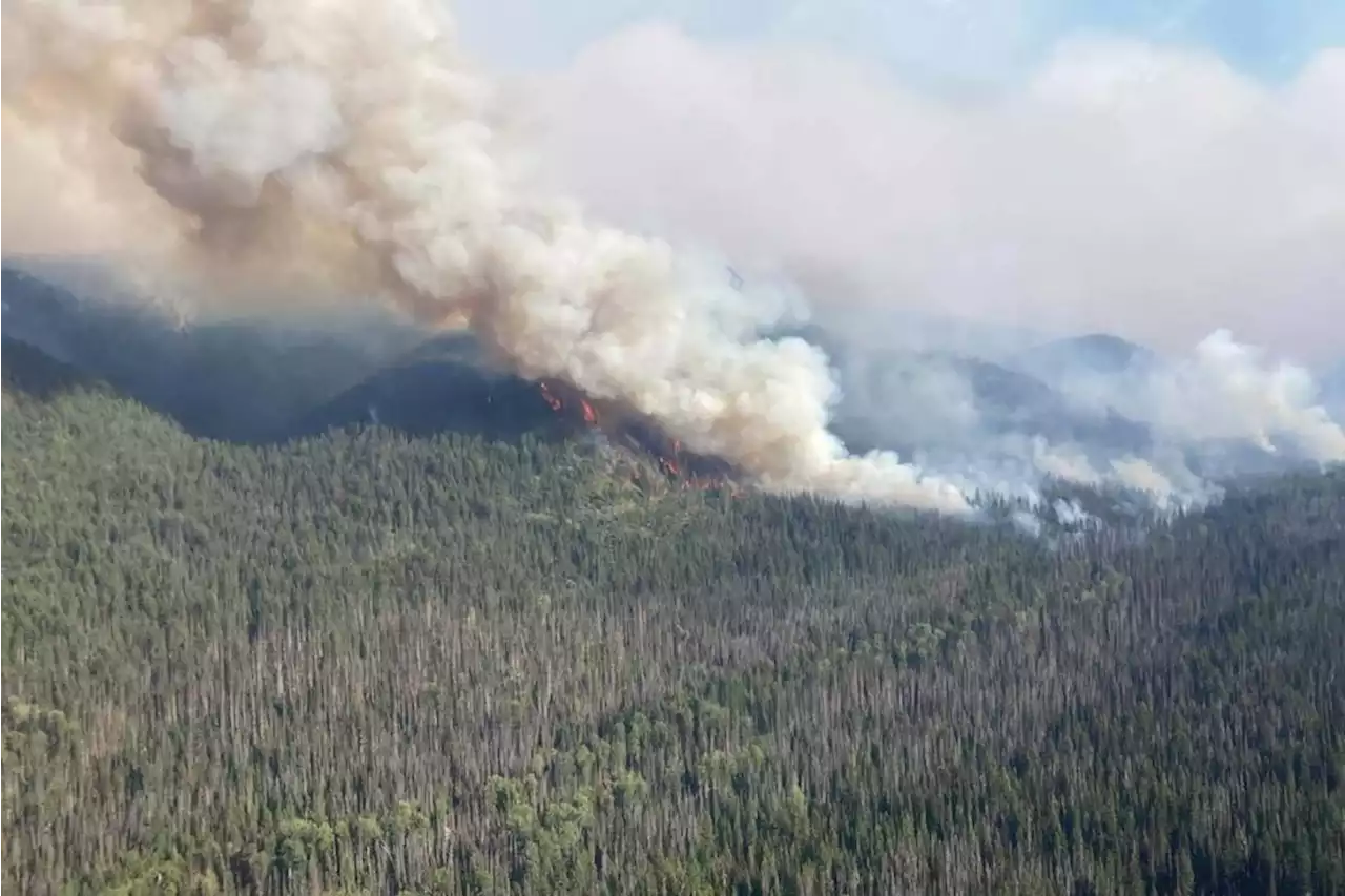 B.C. community under evacuation alert as blaze near Manning Park intensifies – Terrace Standard