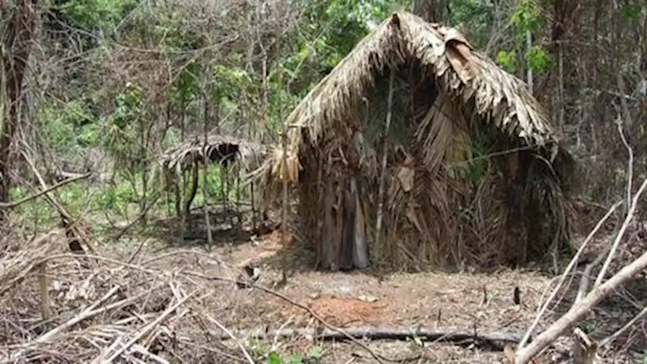 Amazon tribe's last surviving 'man of the hole' dies