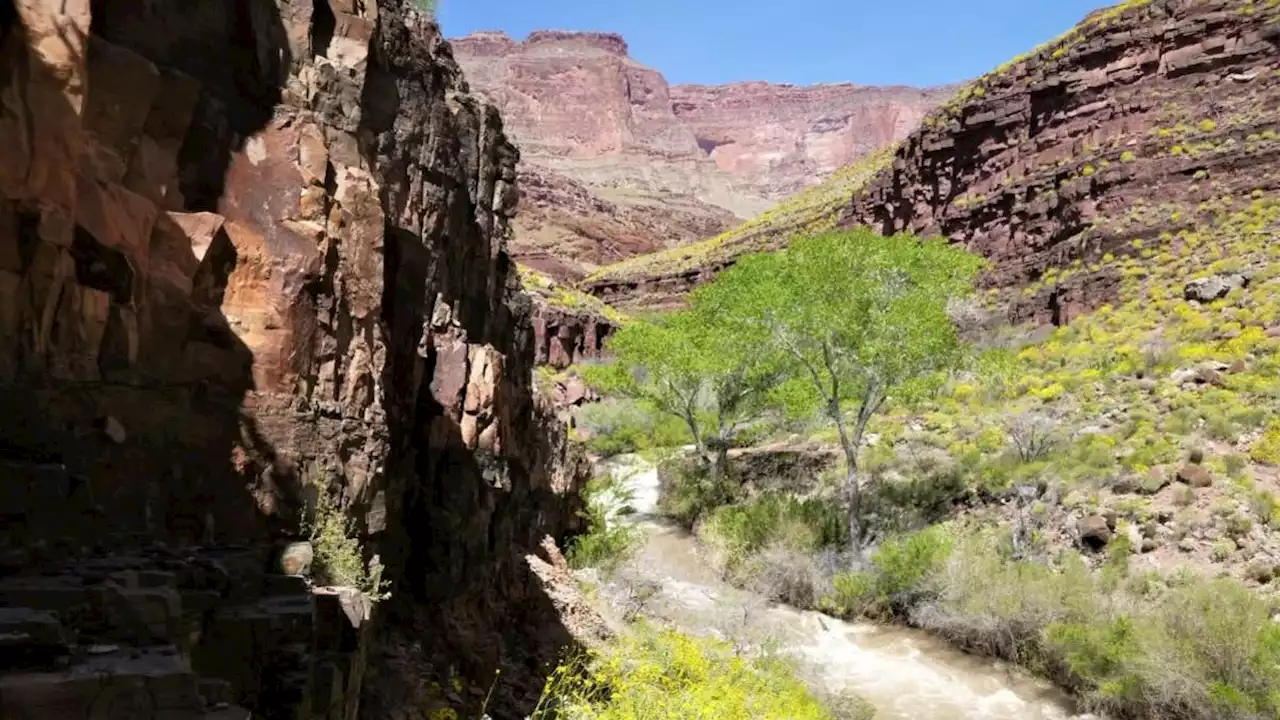 Grand Canyon National Park warns visitors to prepare for excessive heat after hiker's death