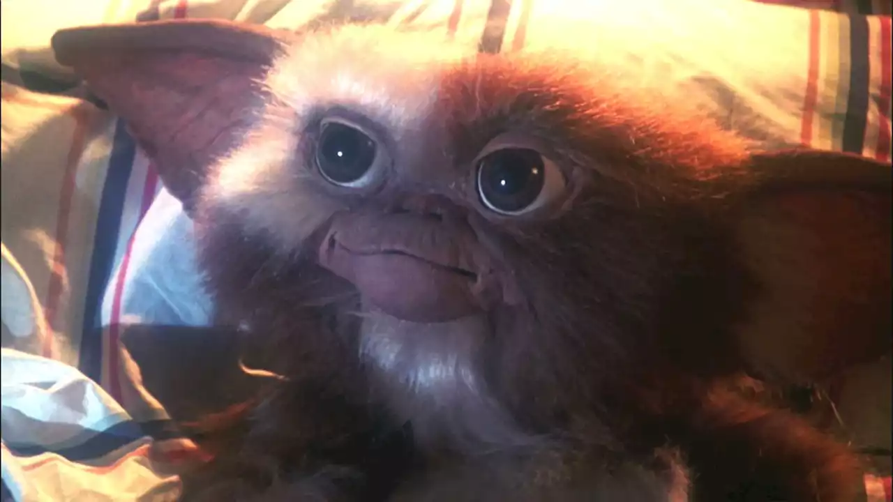 MultiVersus studio shares more information on how Gizmo will play | VGC