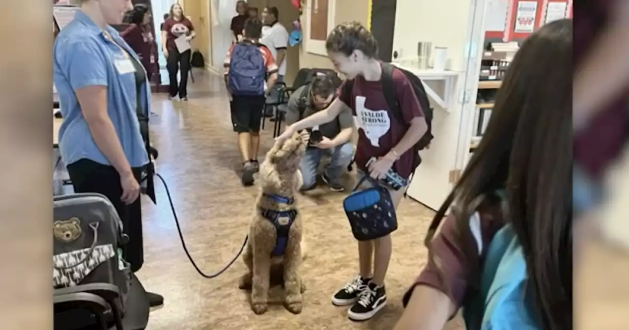 Therapy dogs help kids cope on first day of school in Uvalde