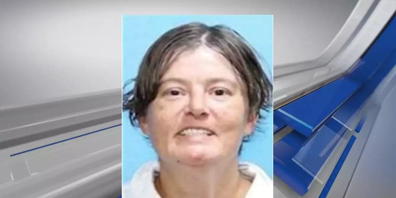 Search underway for missing woman in Elmore County