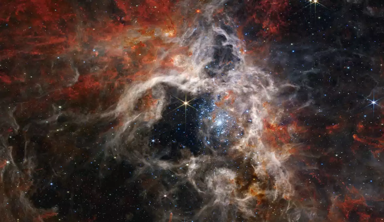 NASA's Webb telescope captures thousands of young stars in Tarantula Nebula