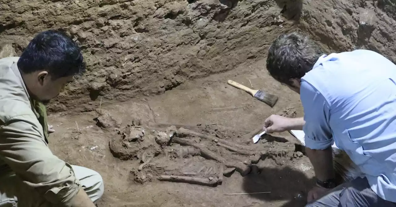 Stone Age skeleton missing foot may show oldest amputation