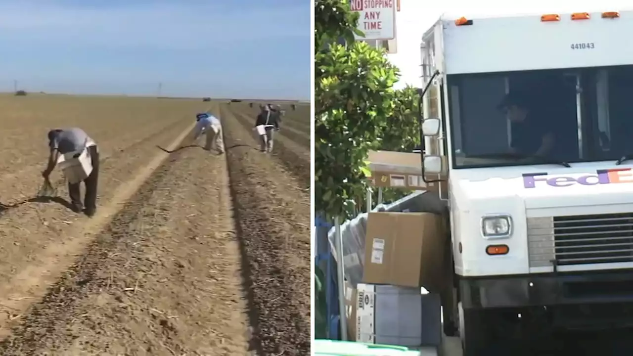 Farmworkers, truck drivers face dangerous heat as temps sizzle across Bay Area