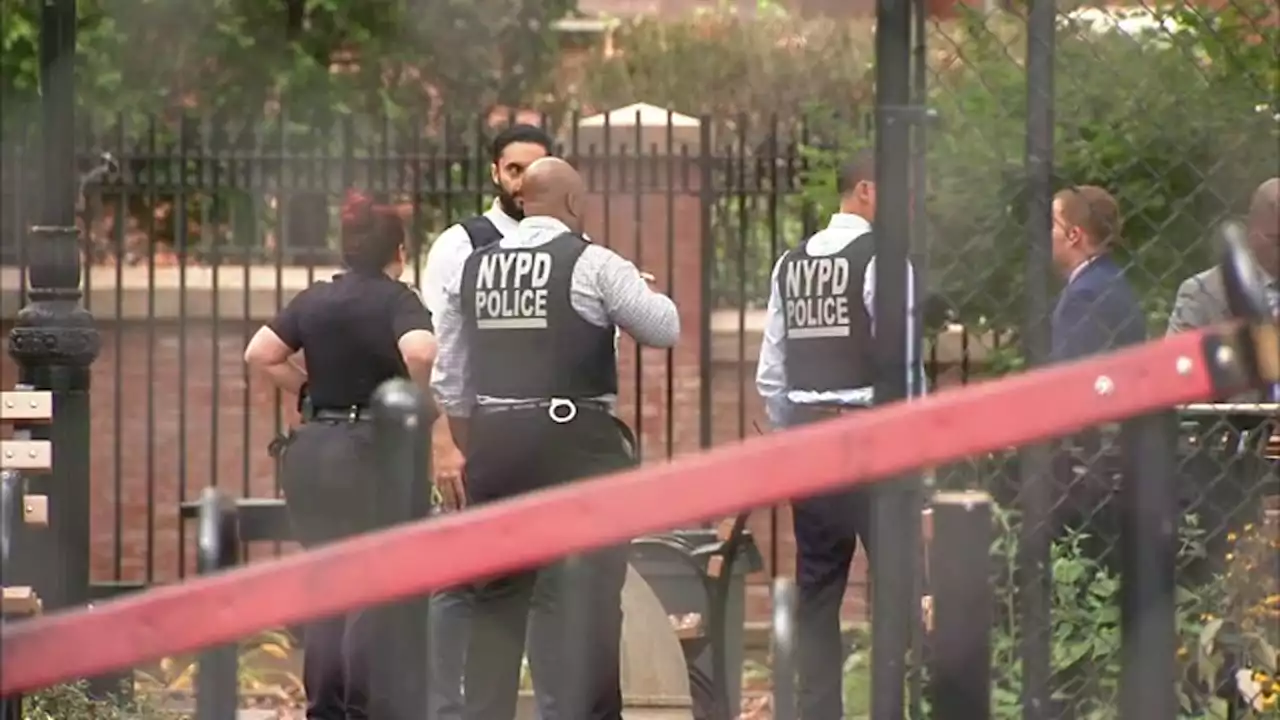 15-year-old student shot to death in downtown Brooklyn park