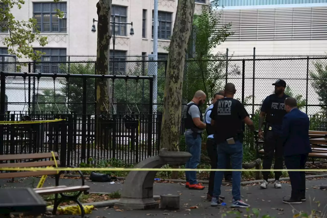 Man critically injured in shooting at Downtown Brooklyn park: NYPD | amNewYork