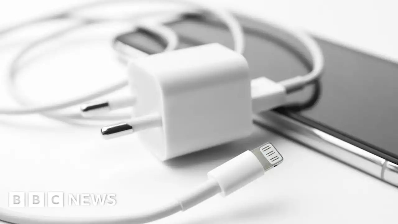 Brazil bans sales of iPhones without USB power adapters