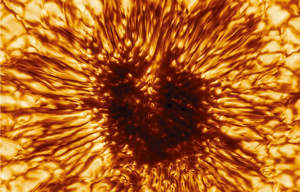 This sunspot is so massive that it's changing how the Sun vibrates