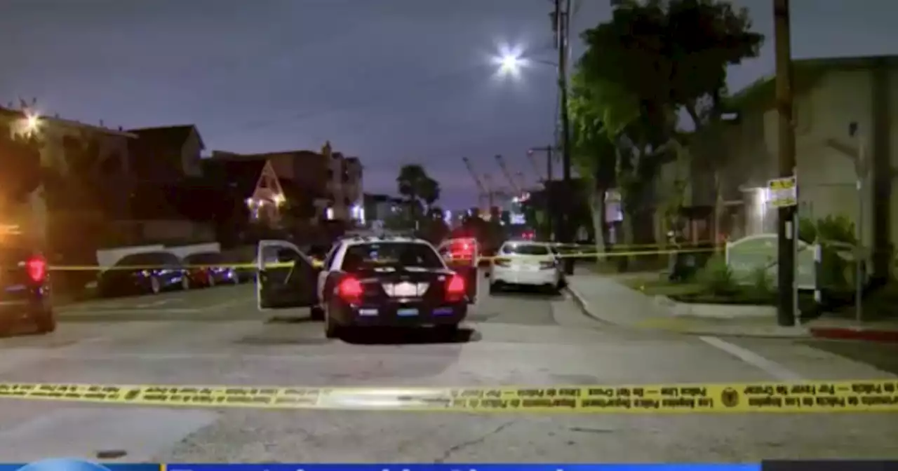 Police arrest 15-year-old girl connected to double shooting in San Pedro