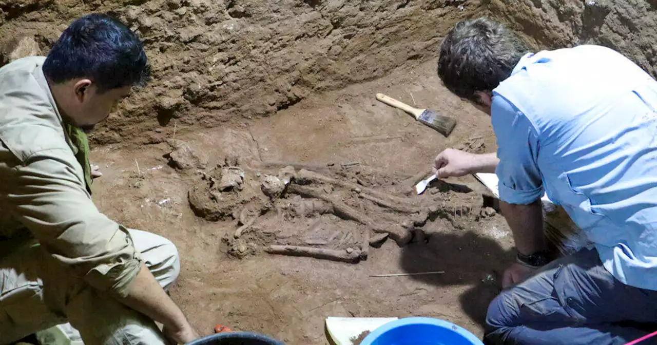 Stone Age skeleton's missing foot likely evidence of prehistoric surgery