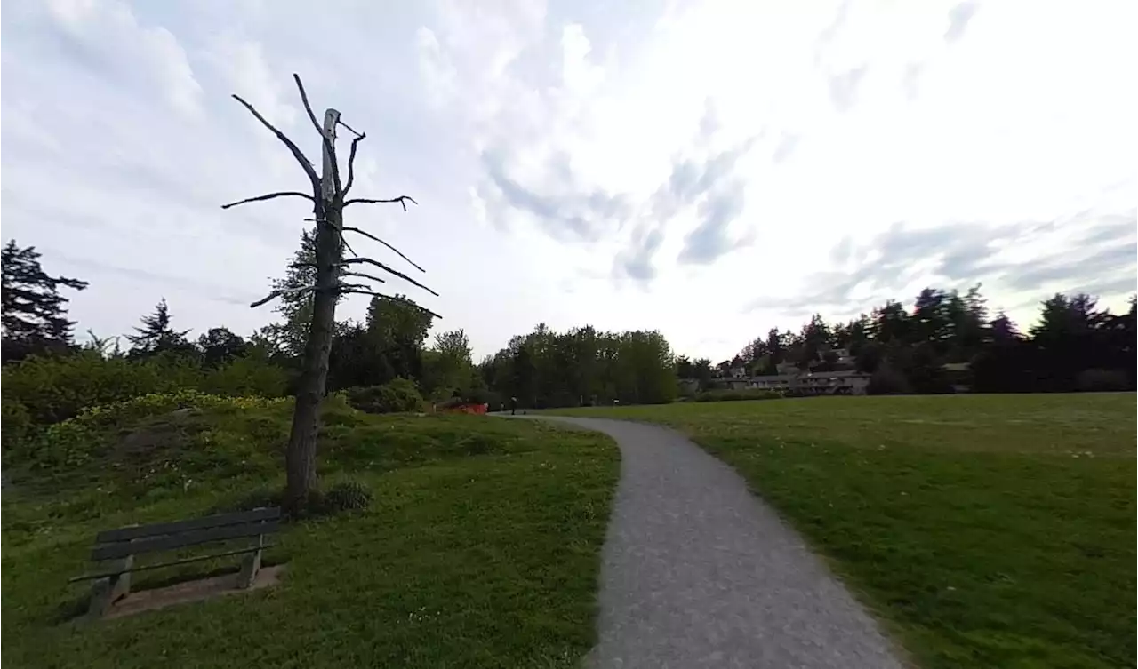 Suspect sought after teenage girl sexually assaulted in View Royal Park