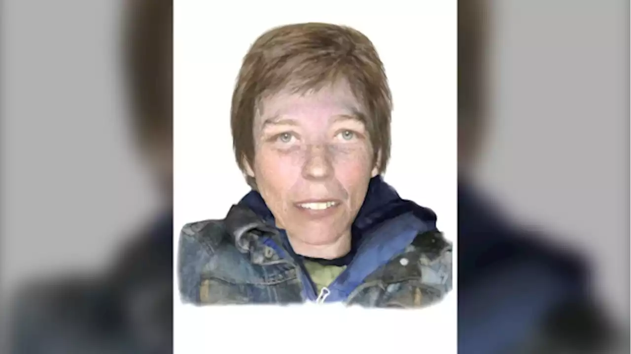 Police looking to identify woman found dead near Toronto's distillery district in July