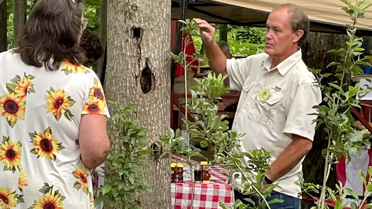 'Come taste history': Hocking Hills Orchard features unusual apple varieties