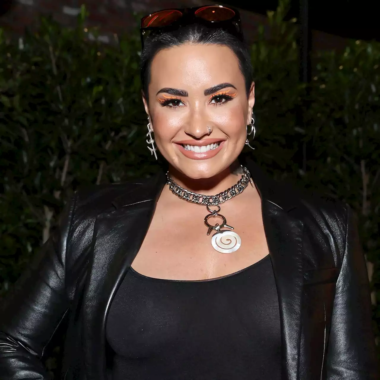 We're Confident You'll Love Demi Lovato's Modern California Home - E! Online