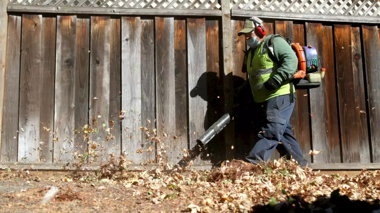 Seattle Council OKs plan to ban gas-powered leaf blowers