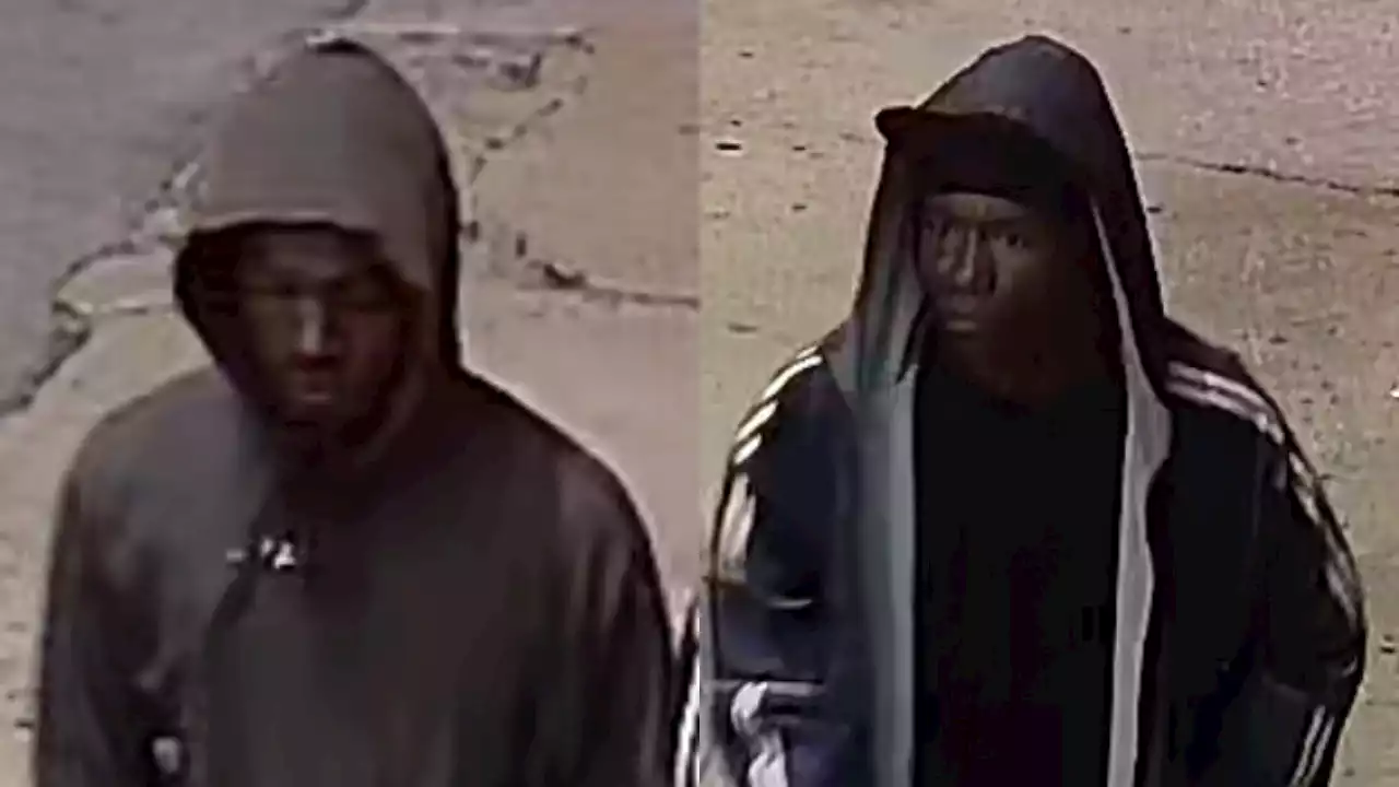 2 men wanted for brutal murder in Chicago's Loop: police