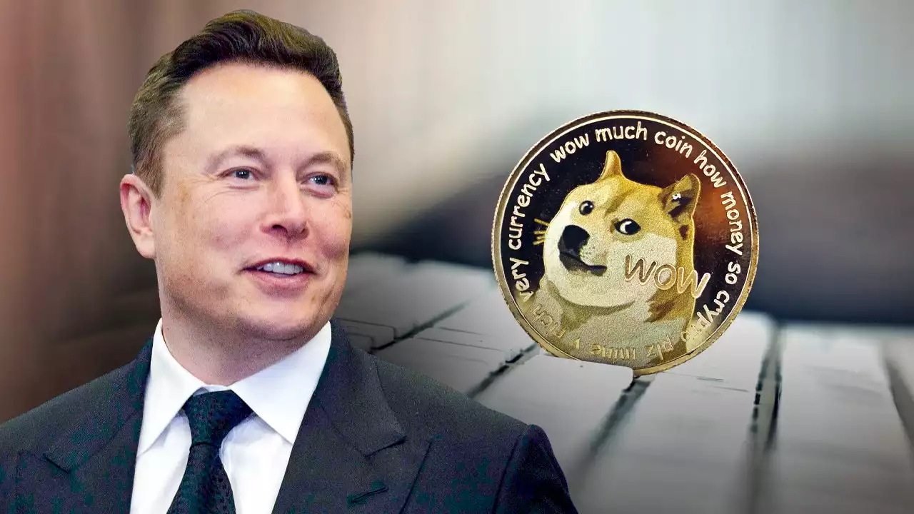 Elon Musk $258B Dogecoin lawsuit adds plaintiffs