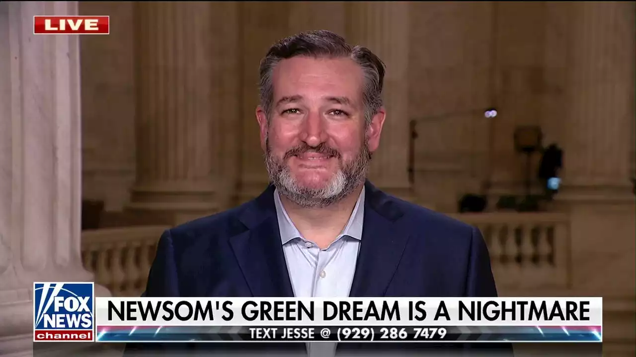 Ted Cruz: Today's Democratic Party is all about California environmentalist billionaires