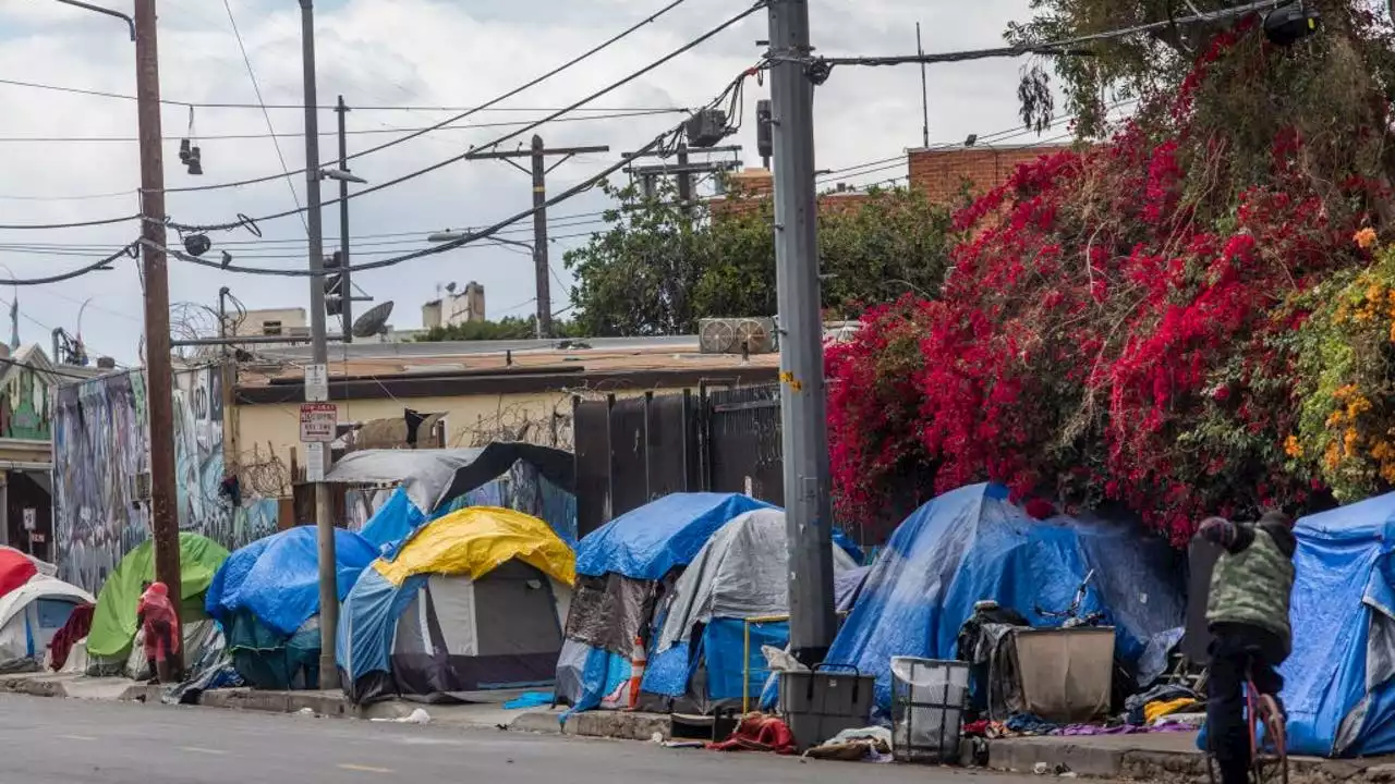 OnlyFans model 'cries' over LA's homeless crisis while driving $100K Tesla down Skid Row