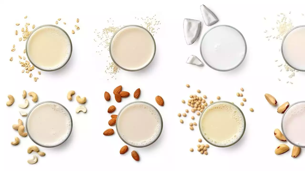 Latte vegetale: qual è il più nutriente? La risposta della scienza