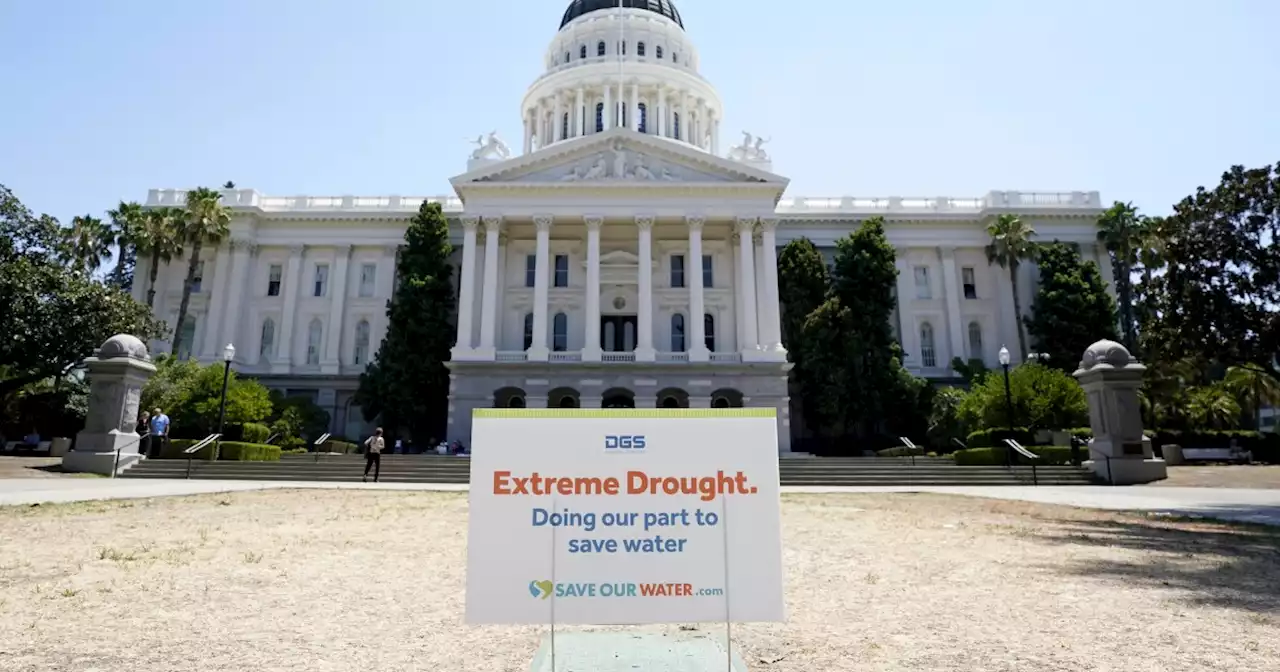 Water use drops 10% in July as California deals with drought