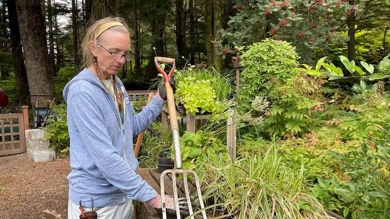 Garden Talk: Dividing perennials at Jensen-Olson Arboretum