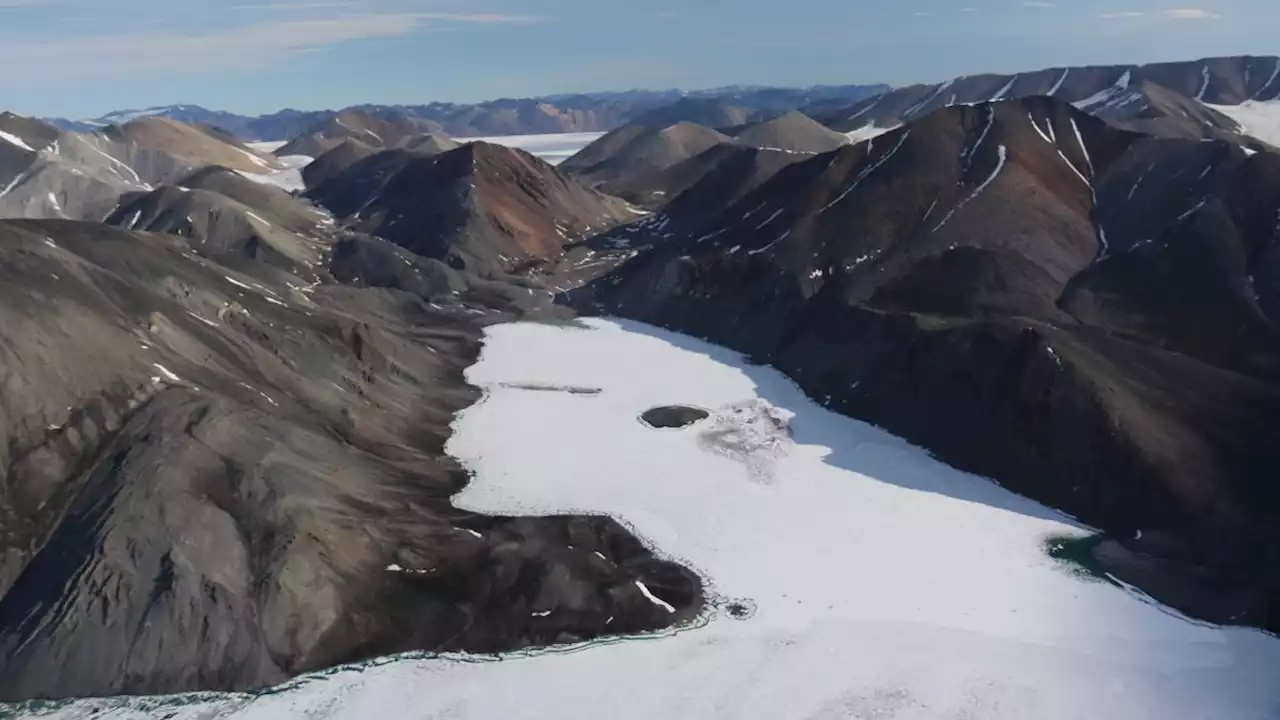 Giant viruses are infecting algae in a floating lake in the Arctic