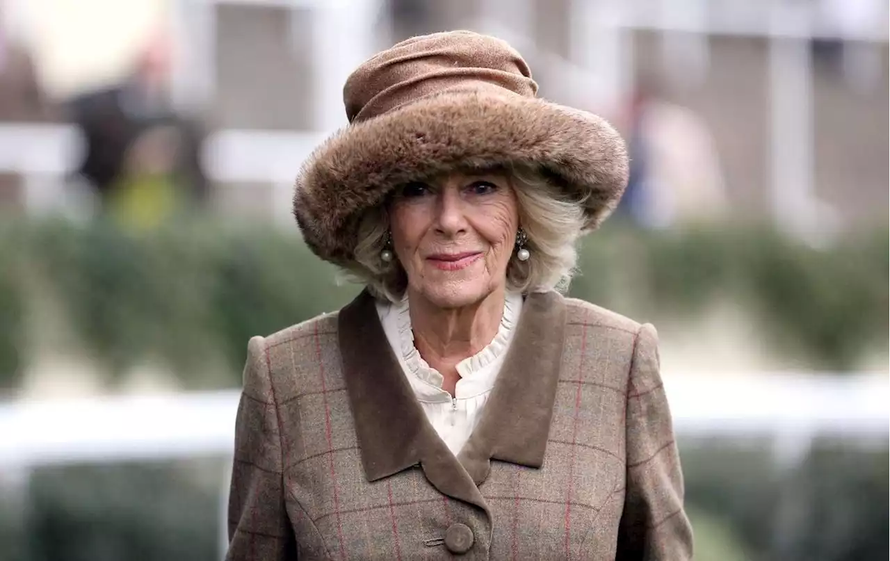 Mort d'Elizabeth II, accession de Charles III : quelle place pour Camilla ?