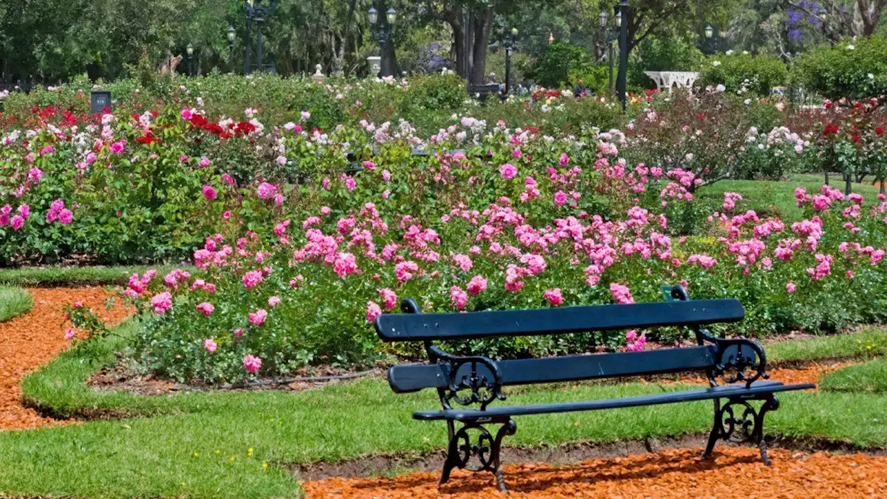 Cinco actividades gratis para hacer en Buenos Aires este fin de semana