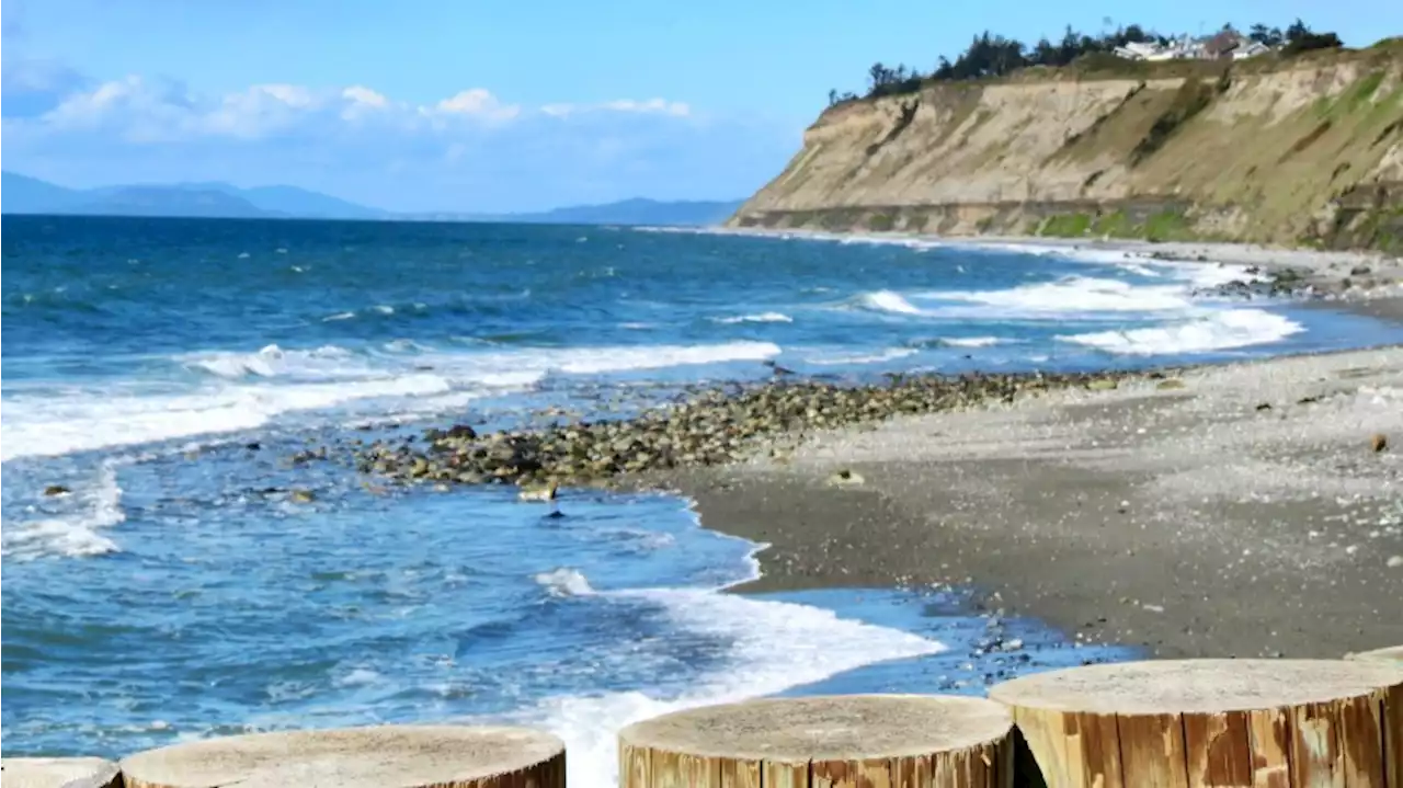 DOH dyes water red around Whidbey Island as a part of a shellfish study