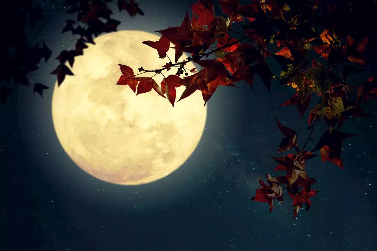 Full September harvest moon to glow in the sky this weekend