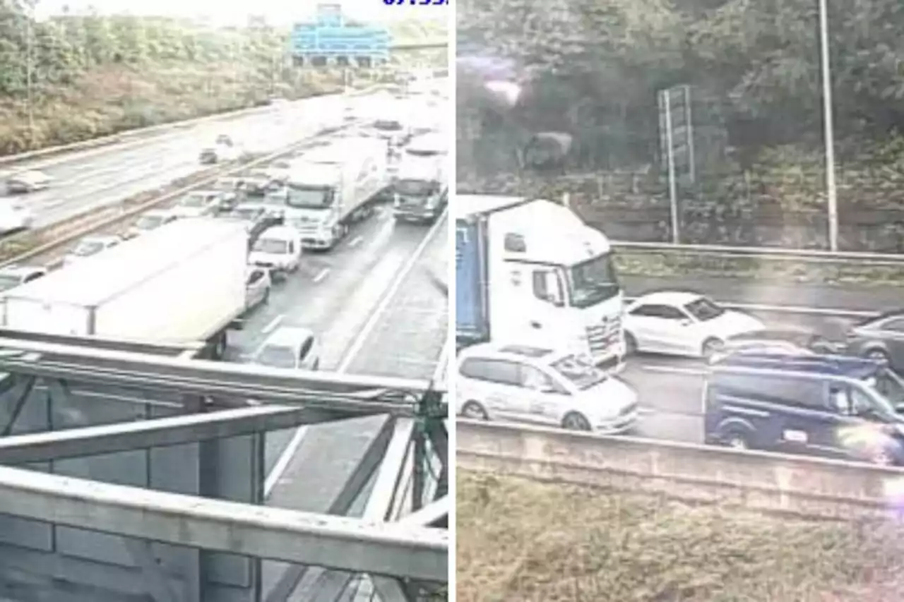 M25 blocked after vehicle breakdown - recap