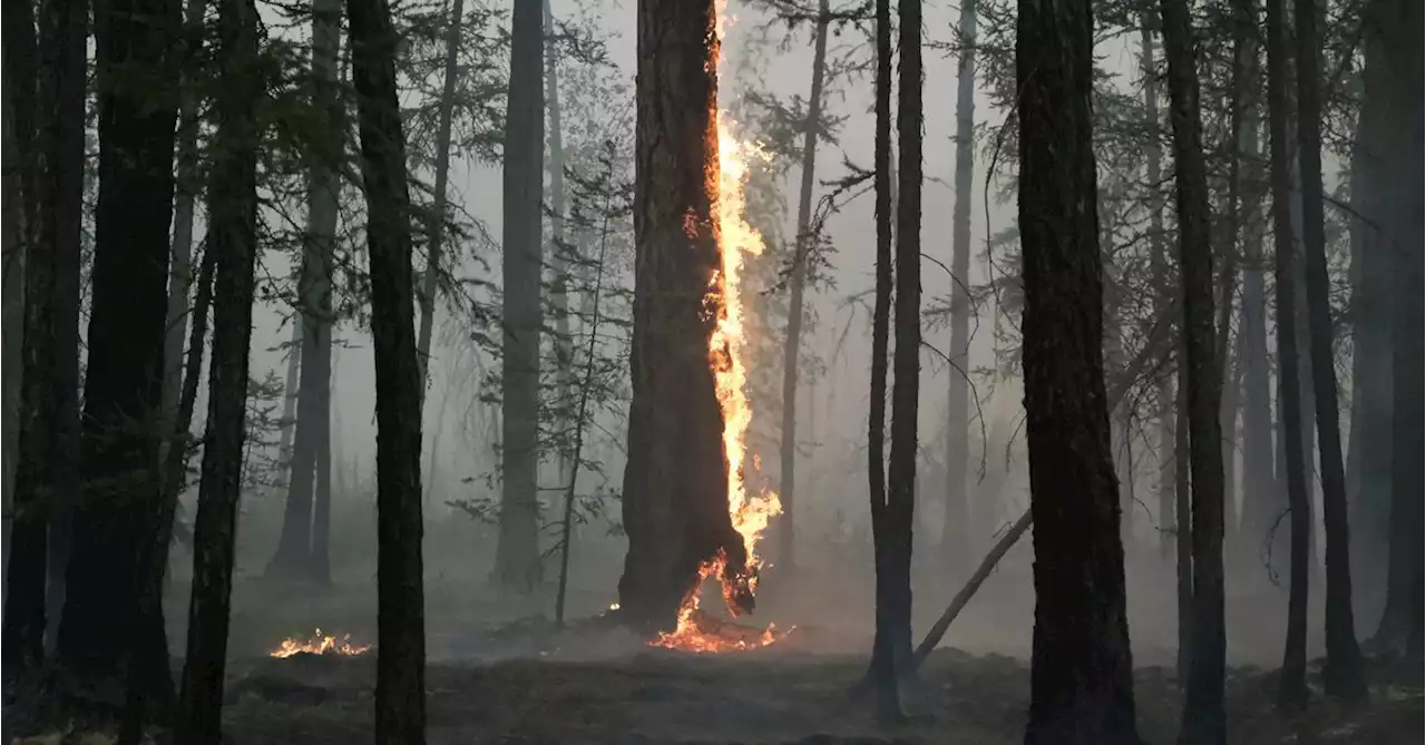 Why Arctic wildfires are releasing more carbon than ever