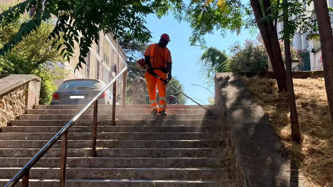 Erbacce sui marciapiedi, il Campidoglio promette: entro 30 giorni saranno tutte rimosse