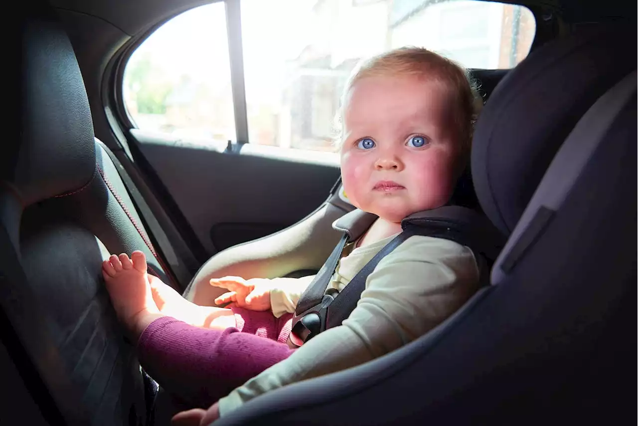 Here Are The Vehicles That Car Seats Fit In Best