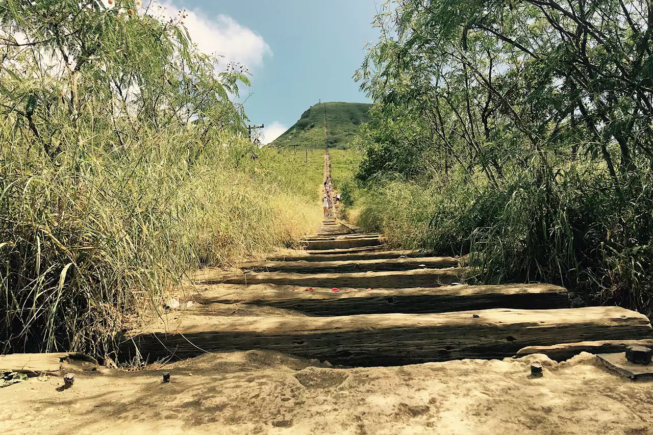 How Oahu’s most dangerous hike was saved