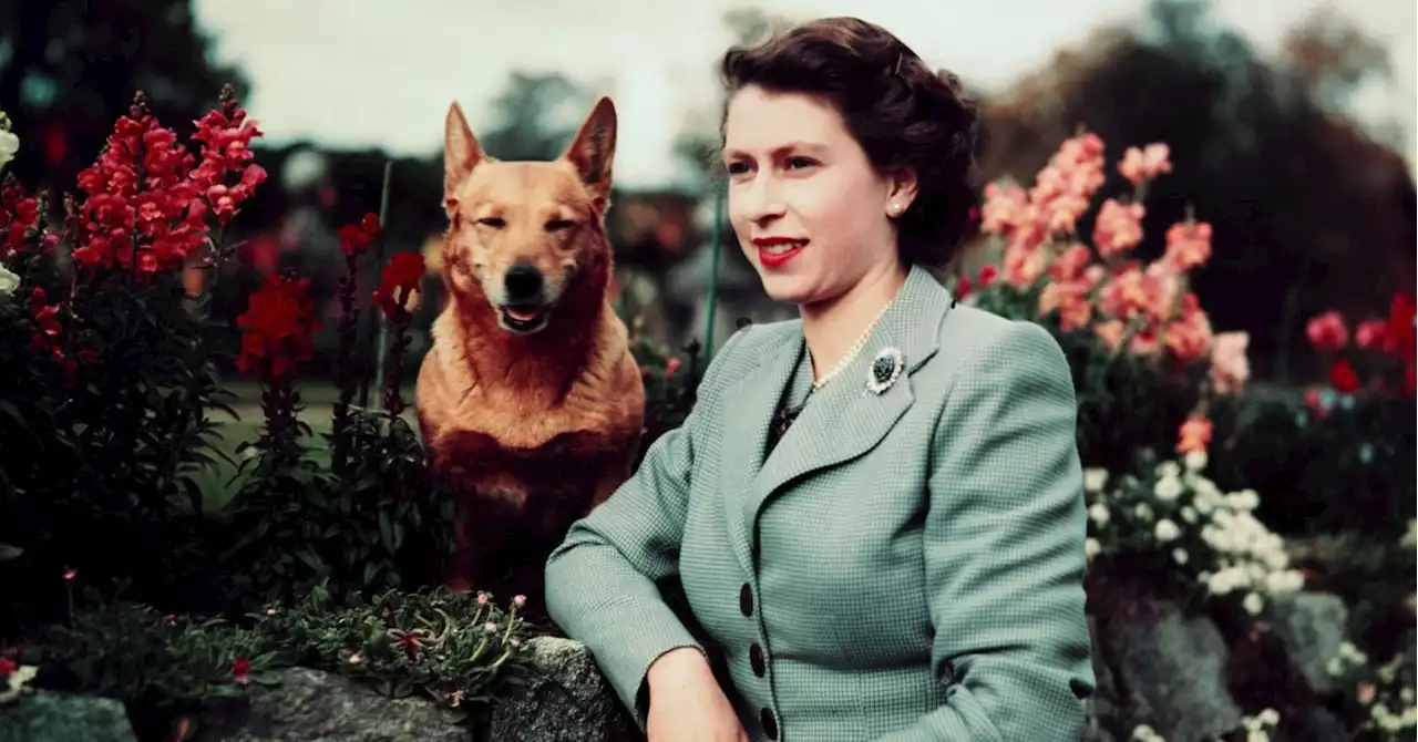 Queen Elizabeth II has died: tributes pour in for longest-serving monarch in British history