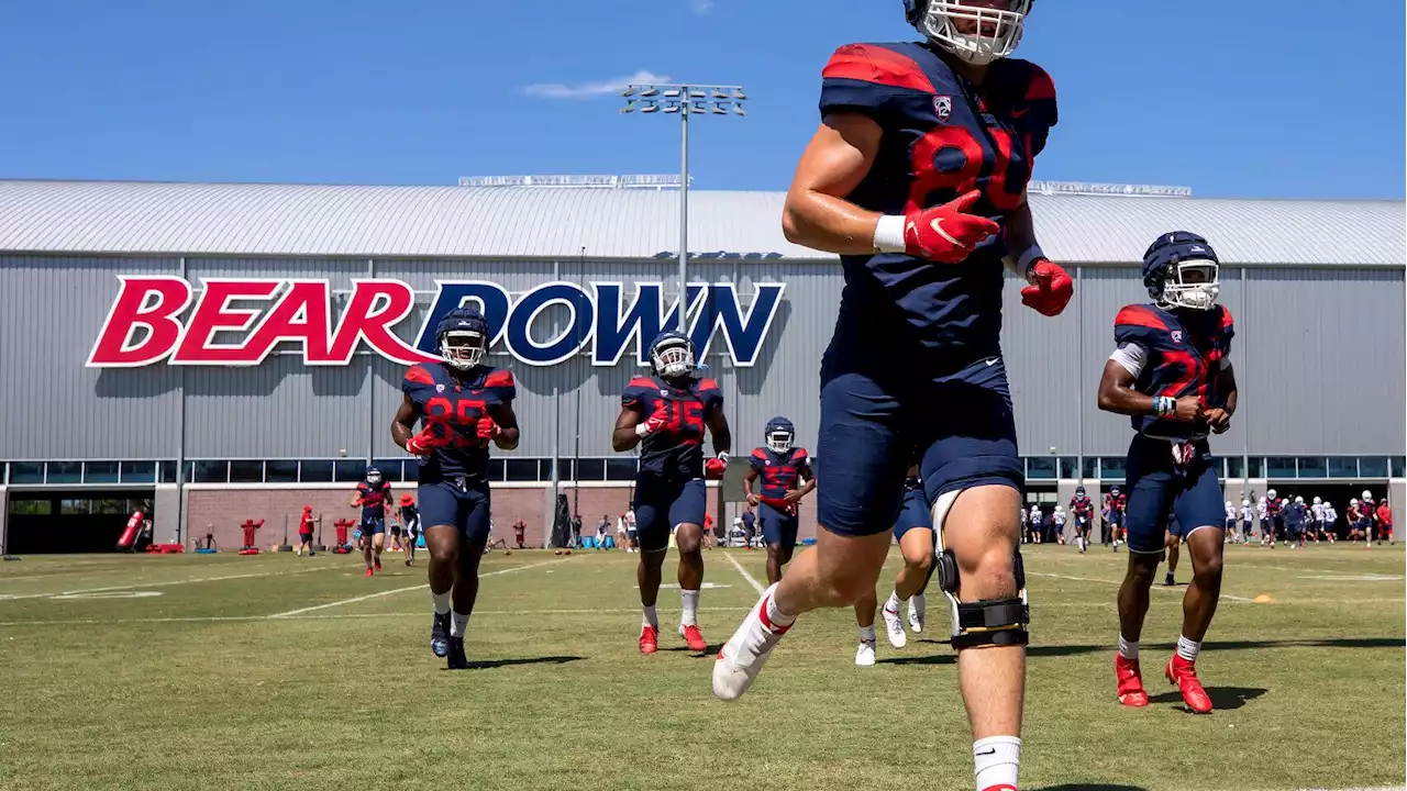 Arizona Wildcats place tight end Tanner McLachlan on scholarship