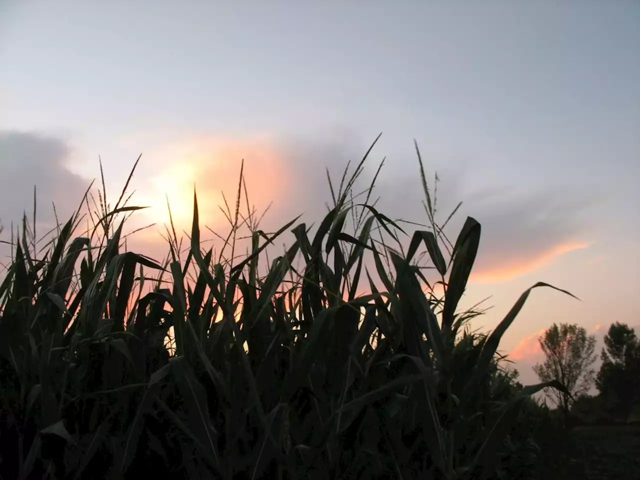 The best pumpkin patches in Northeast Ohio