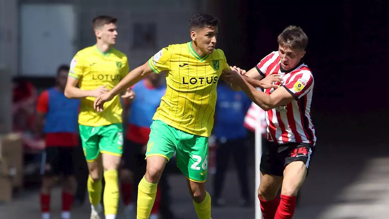 Norwich City, Sunderland rank highly in Championship net spend table after £79m summer spree