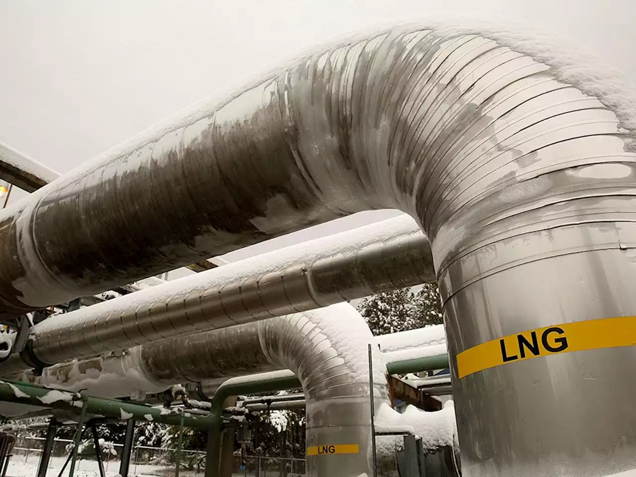 David Rosenberg: The bullish case for LNG, a reliable energy source investors should tap into