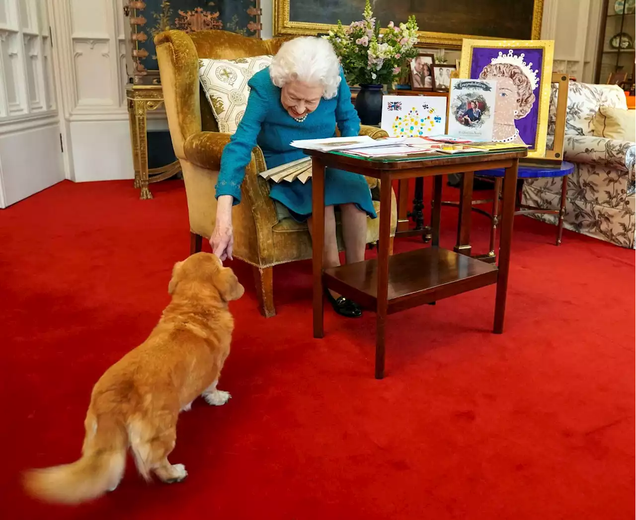 Quem vai tomar conta dos cães corgi da rainha após sua morte?