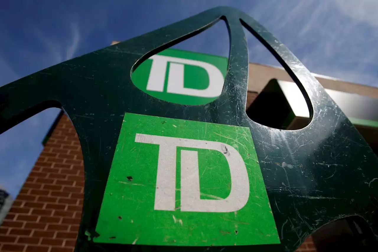 New TD director defies market pessimism with a million dollar purchase